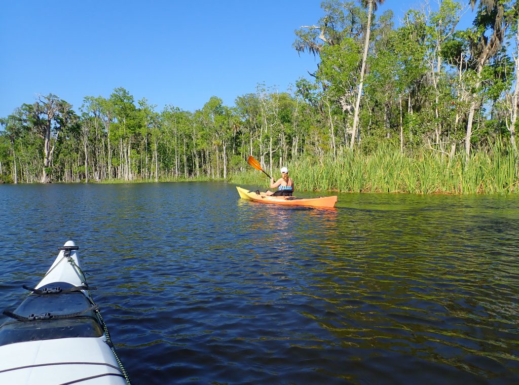 Just a beautiful day for an afternoon paddle tour on the Withlacoochee River